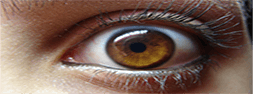 Phobia hypnotherapy hypnotic eye